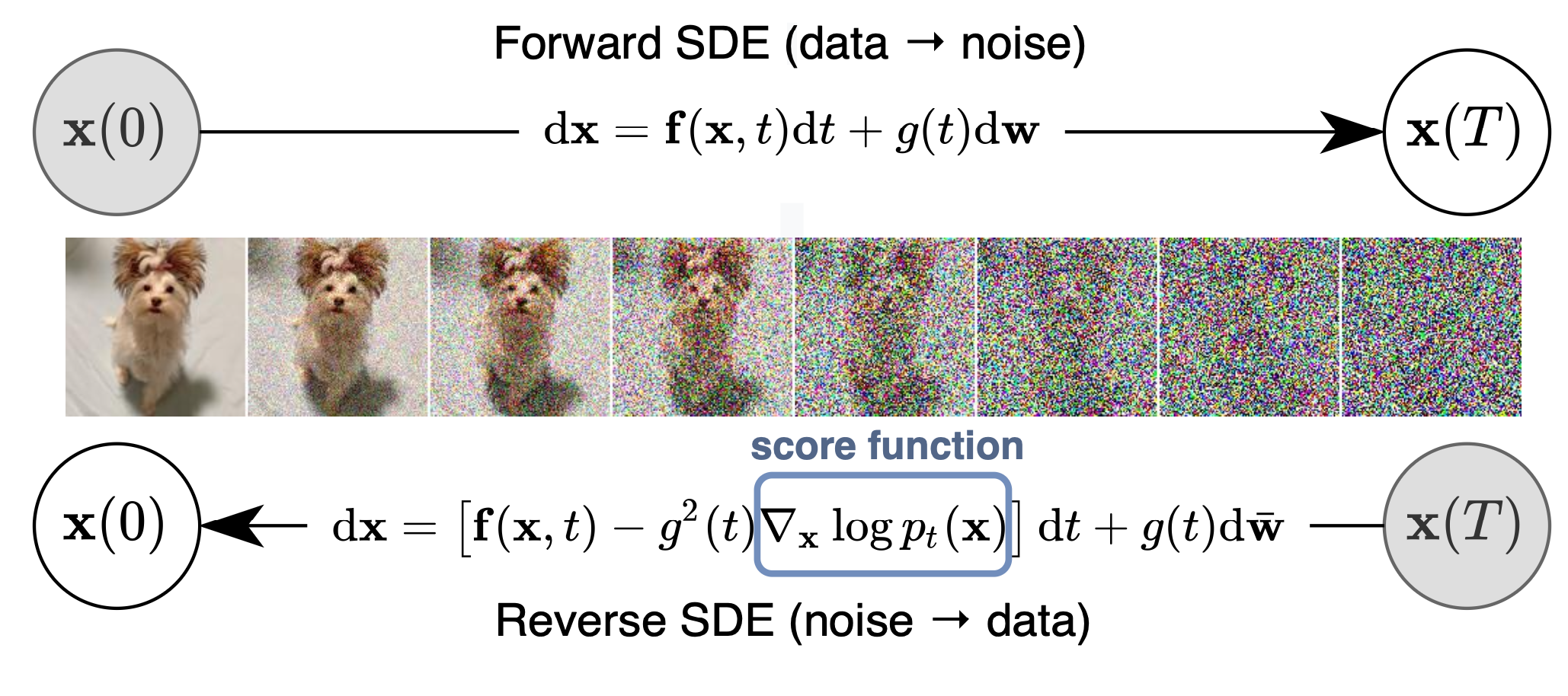 SDE forward and backward process